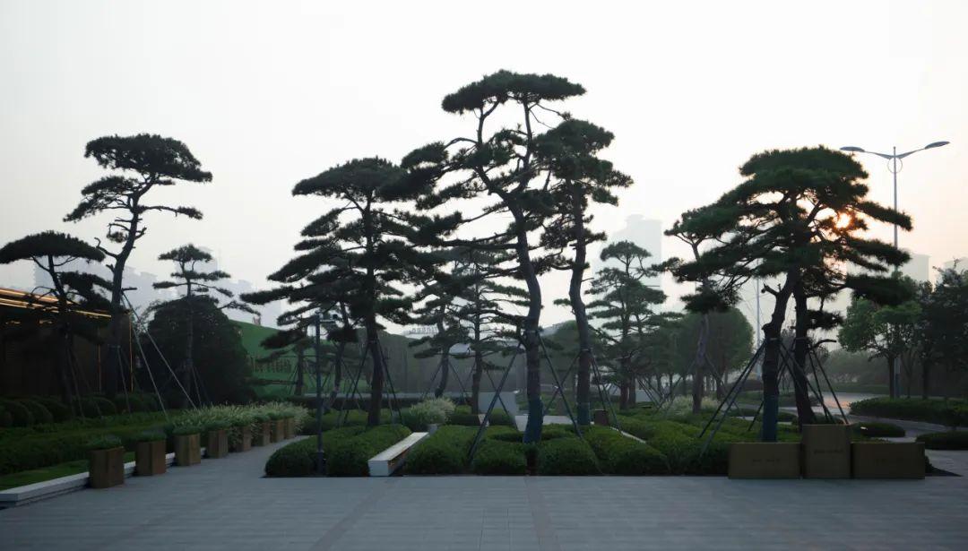 六大创新植物设计案例,编织都市生态空间新纪元 | 栖地设计 - 知乎