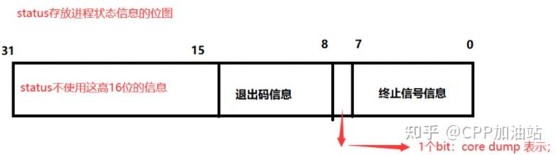 【Linux】进程控制（wait 和 waitpid）的理解和使用 - 知乎