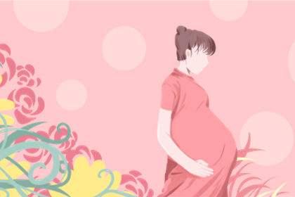 为什么我还是会梦到我的前女友，深度解析梦境背后的情感纠葛