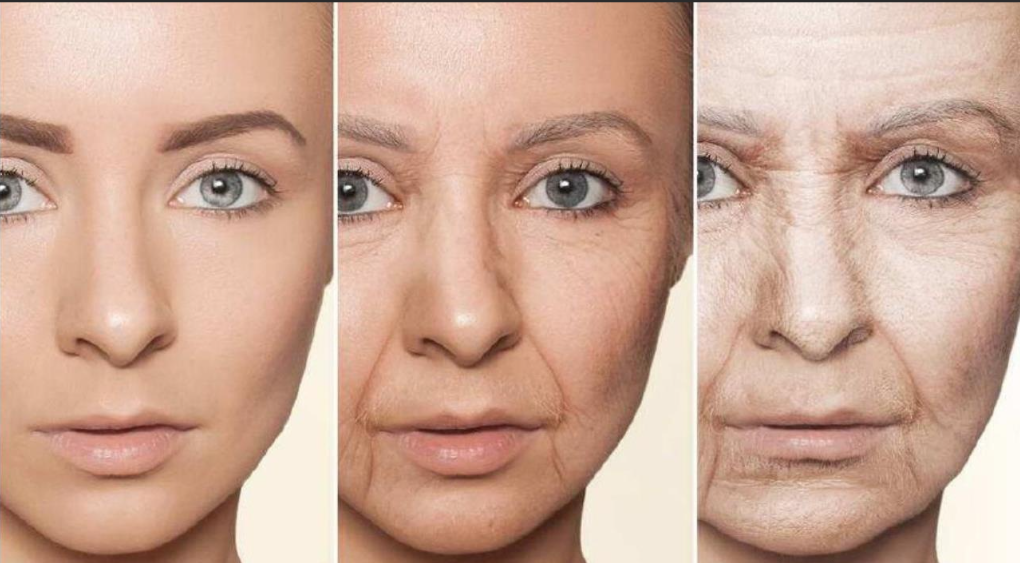 干细胞治疗10年内有望逆转衰老,平均寿命延长40年!