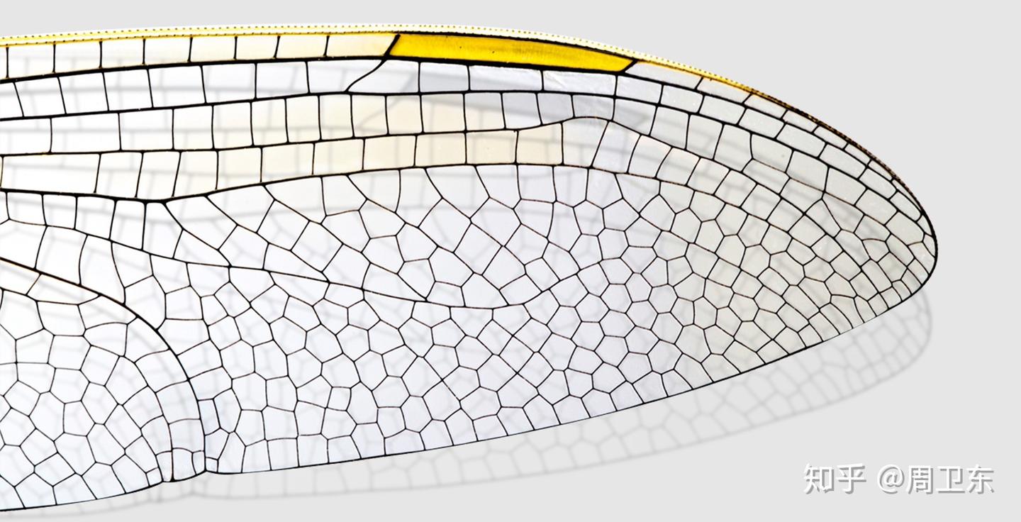 Asf Shape 奥迪轻量化技术—ASF®奥迪空间框架结构 - 知乎
