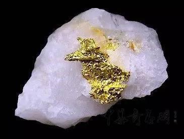 老司机带你读懂金矿石检测