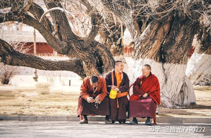 西藏做生意好做吗知乎(西藏适合做什么生意赚钱)