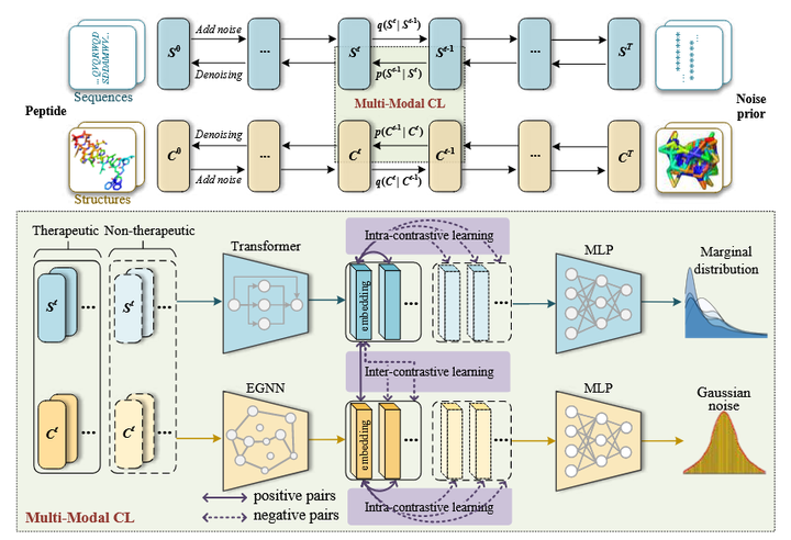 论文题目：A Multi-Modal Contrastive Diffusion Model for Therapeutic Peptide ...