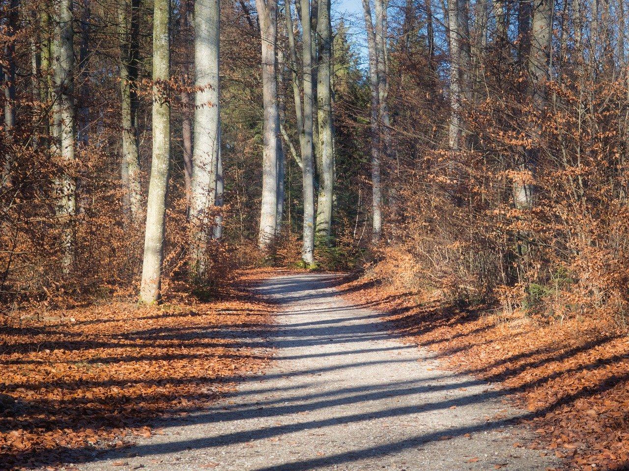 3. 周边配套详述