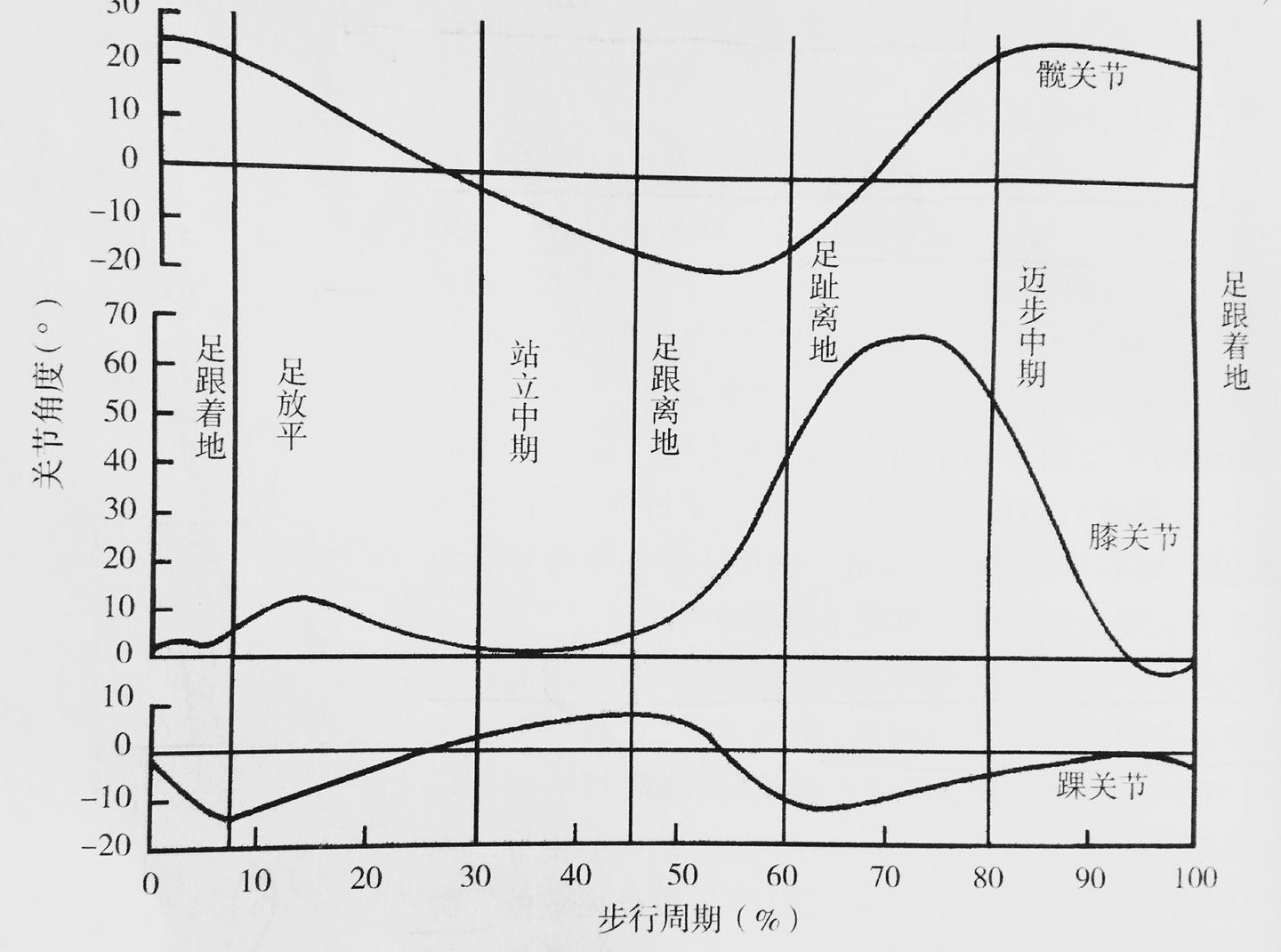 运动康复专业科普文章——步态分析（一） - 知乎