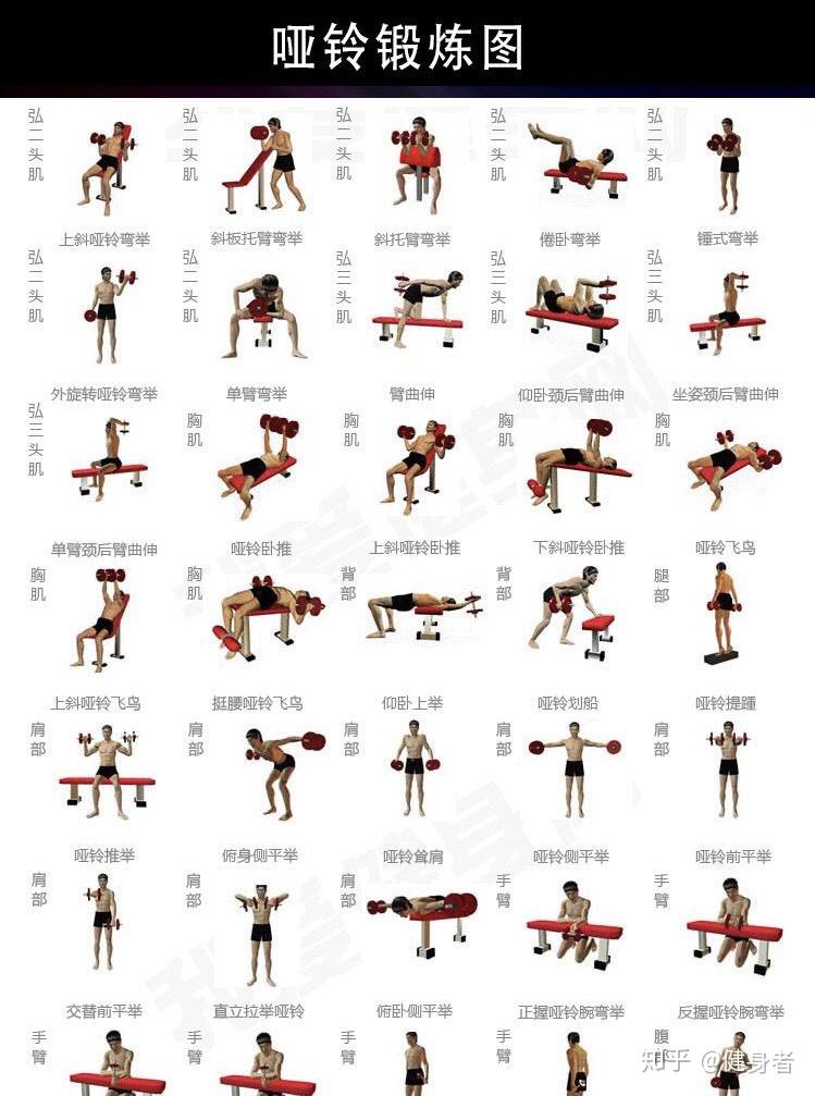 4kg的哑铃,一只手每天300下,有效果吗? - 知乎