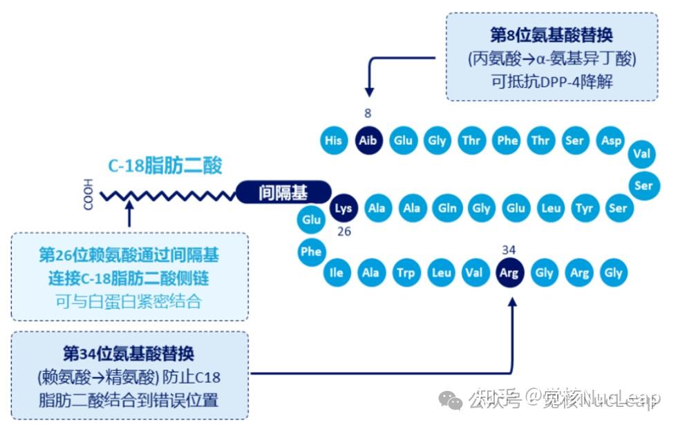 新晋“药王”司美格鲁肽，国内27家企业抢滩 知乎 