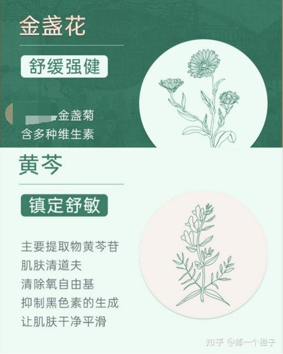 仲润堂金盏花面霜图片