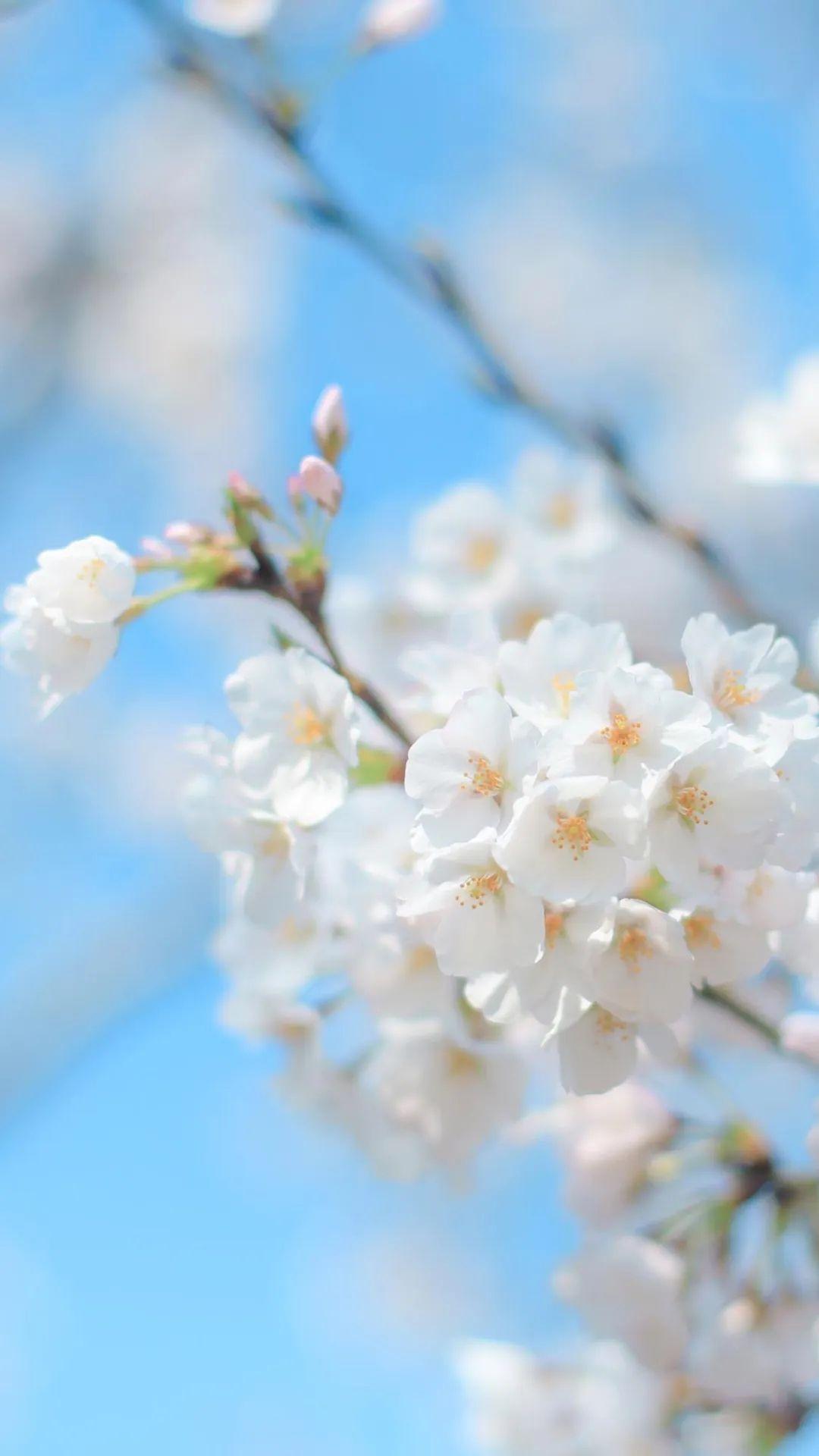 有没有适合做背景的 无水印 简约 的图片?