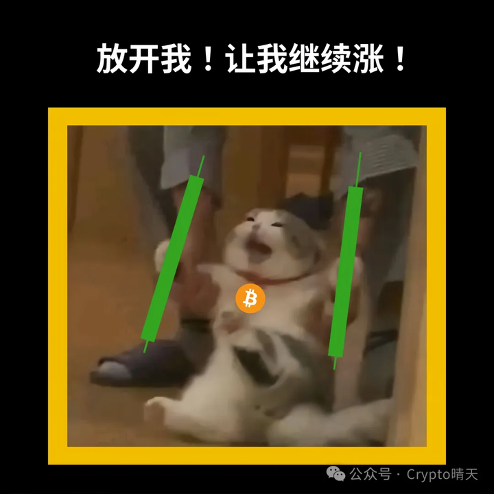 比特币冲高回落，MEME依旧强势！ - 知乎