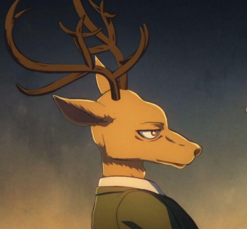 有哪些动物狂想曲beastars好看的头像