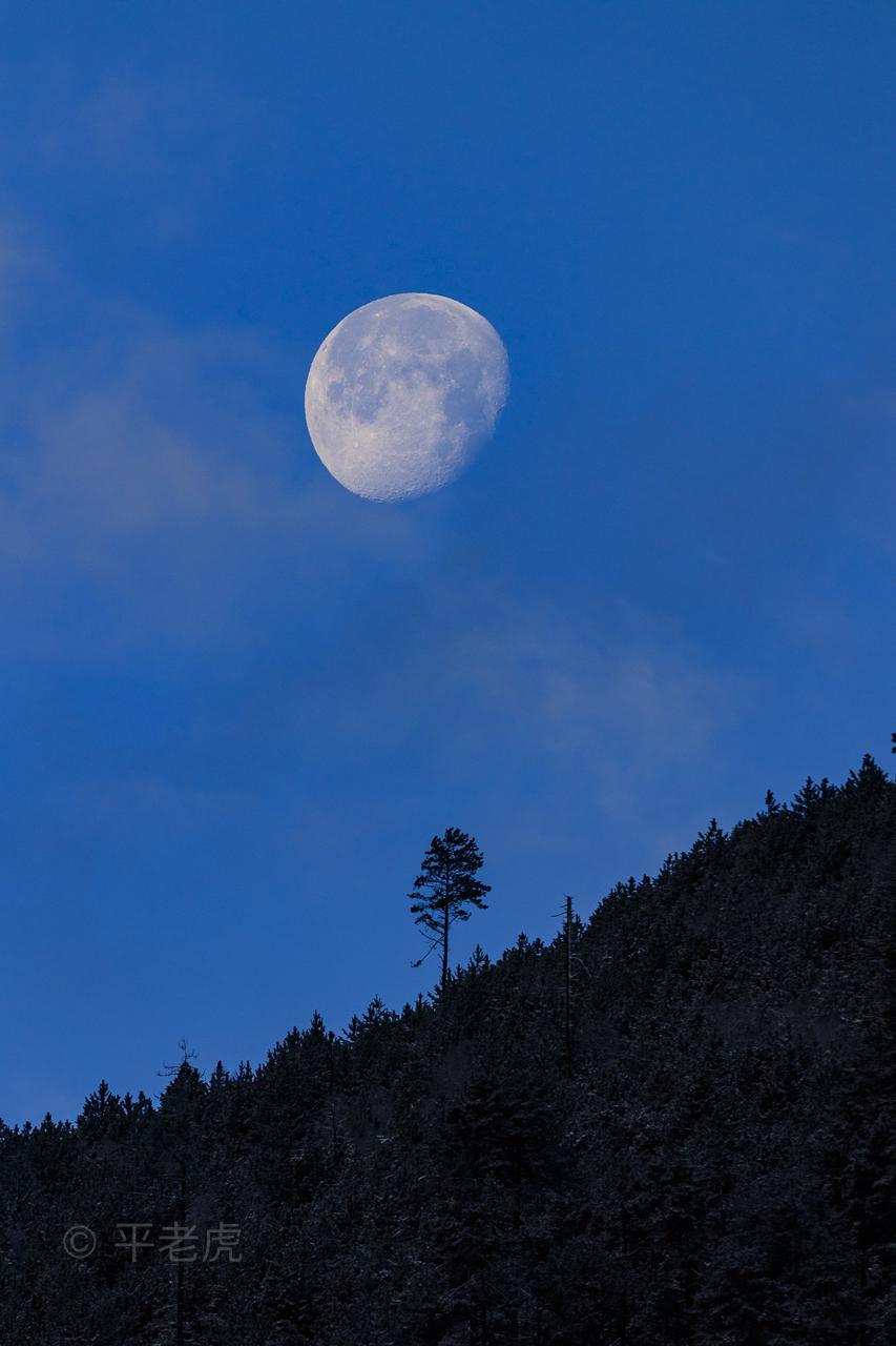 超级月亮将于6月14日现身为本年度第二大满月对此你有哪些期待该现象