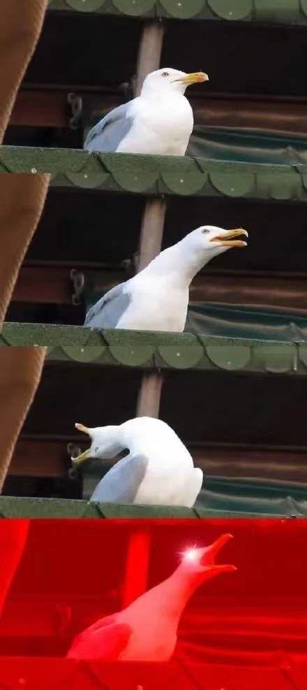 有没有这些表情包梗的原图