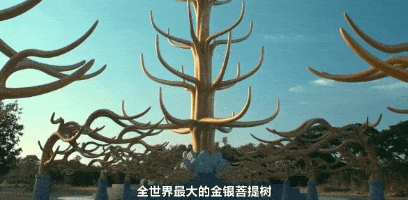 《绝庙骗局2》揭秘泰国最赚钱的行业，震碎你三观