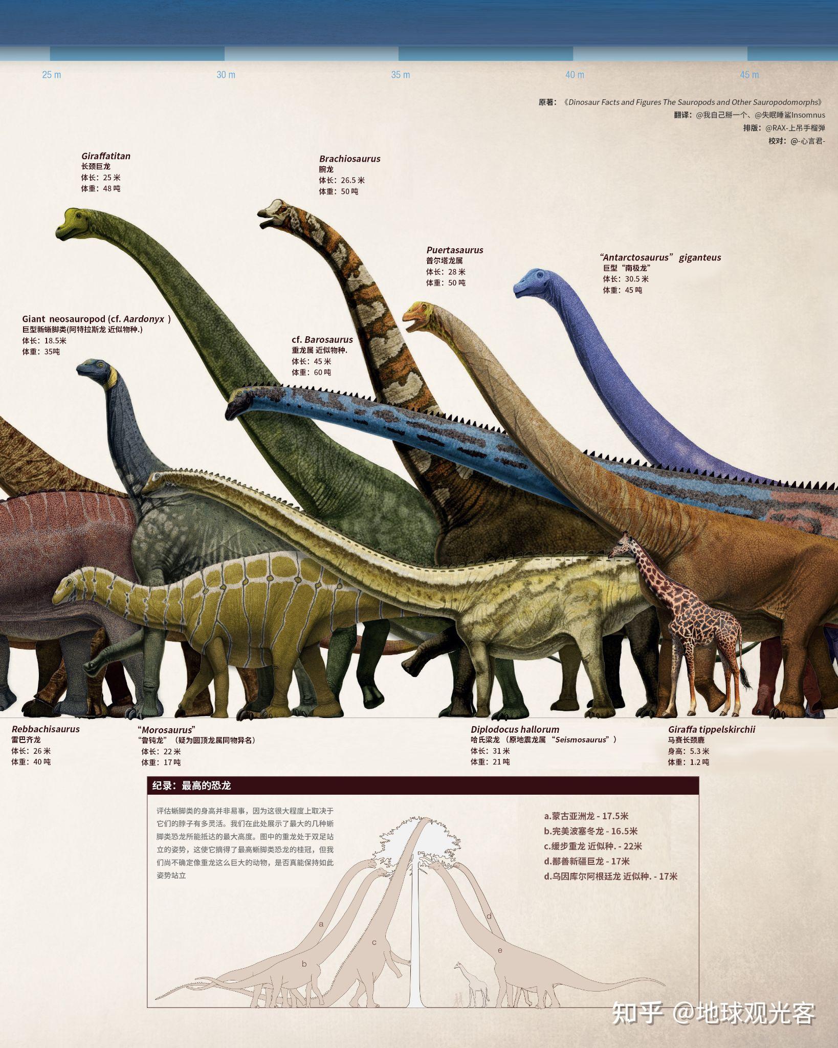 恐龙图片种类 文字图片