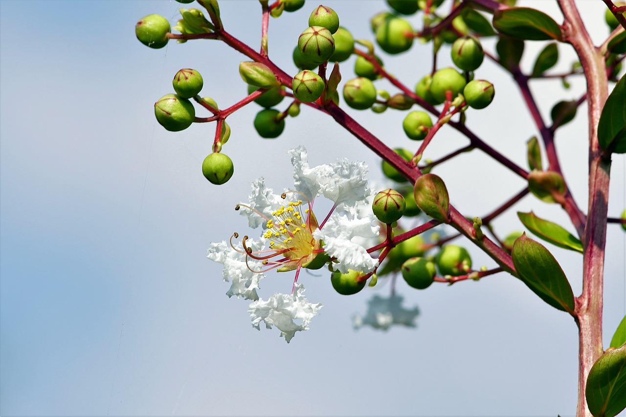 4. 惠泽园户型鉴赏