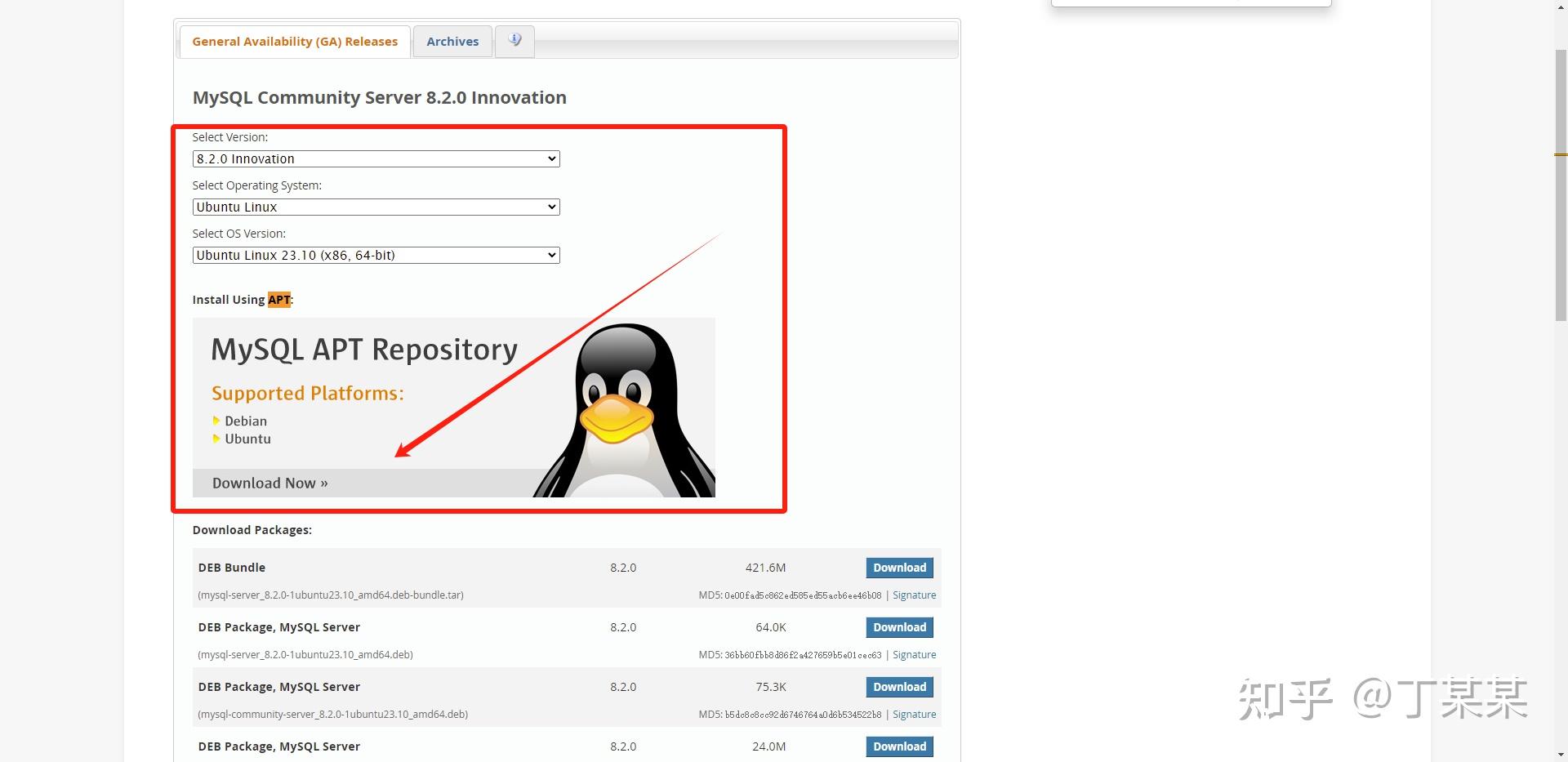 Ubuntu server24 04 mysql9 2 