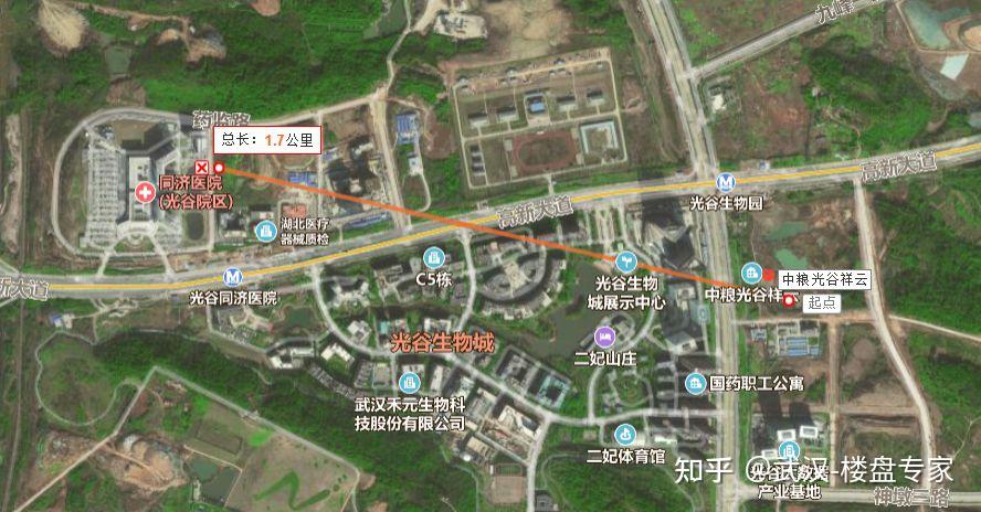 光谷三路的房子是否值得入手?