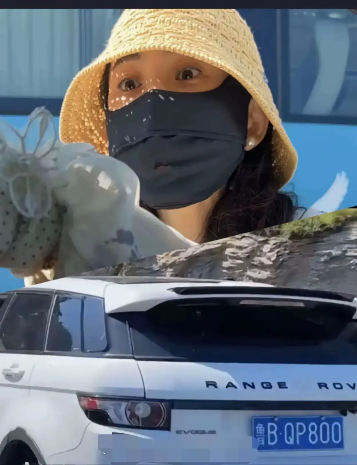 警方通报路虎女司机逆行追尾还打人,目前案件调查进展如何?