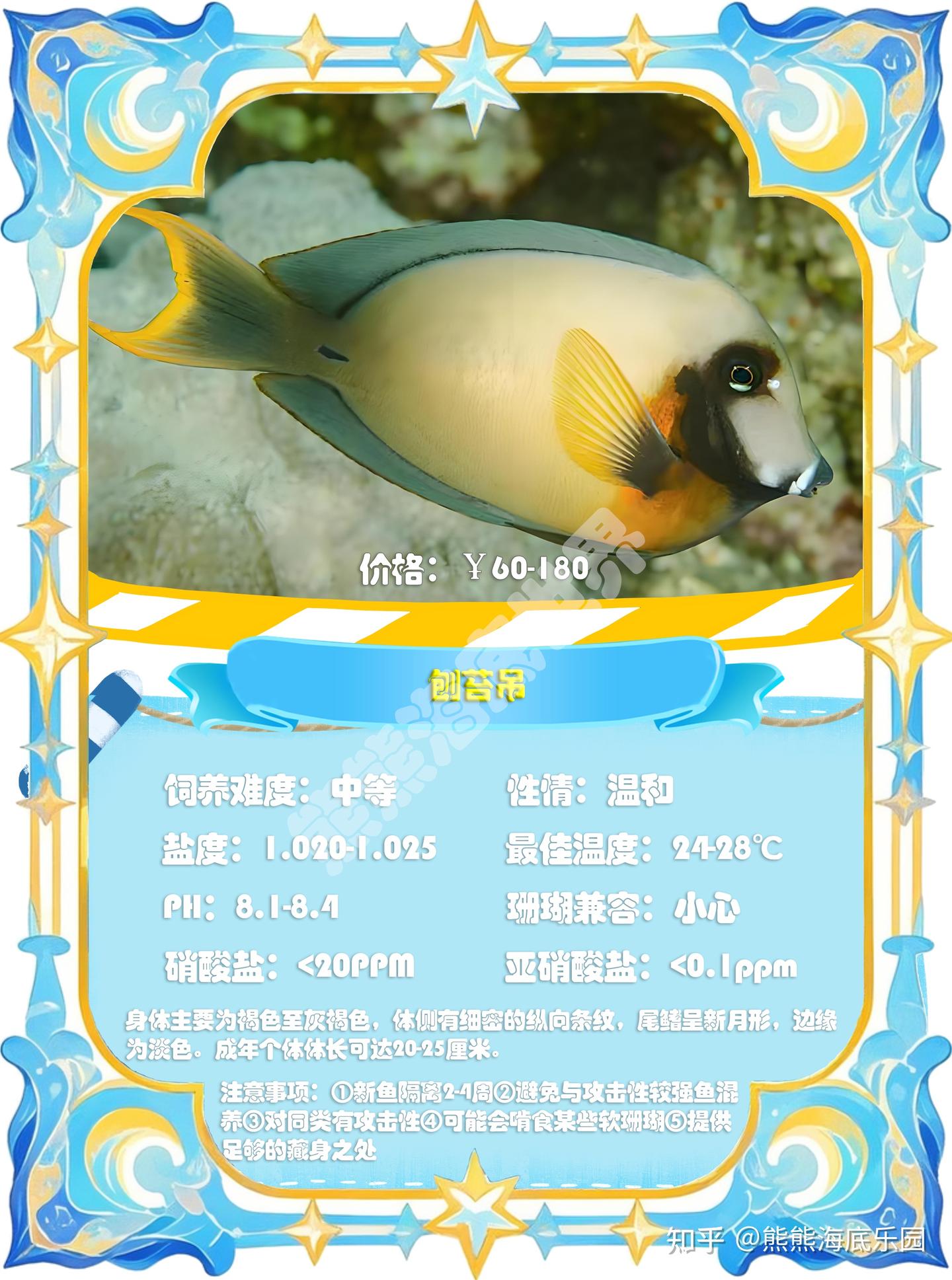吊类鱼合集(中)刺尾鱼属 - 知乎