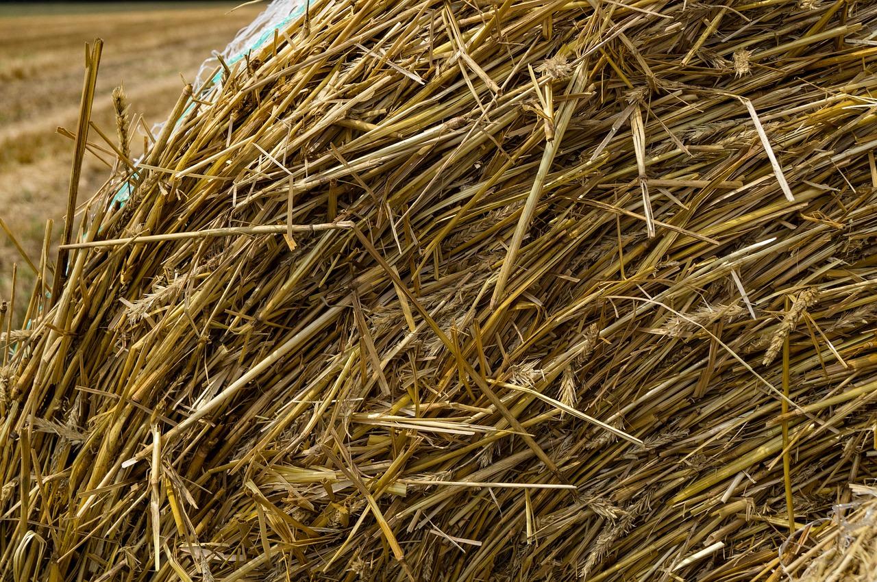 秸秆房成本估算