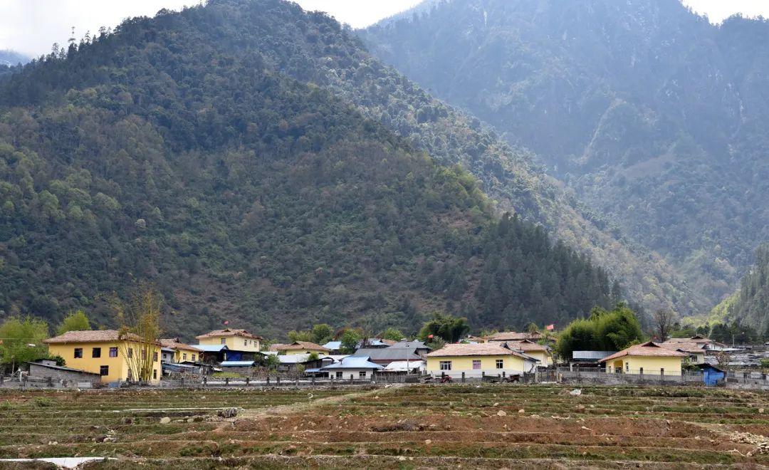 察隅:隐藏于峡谷密林的“西藏江南”|草地·神州风物 - 知乎