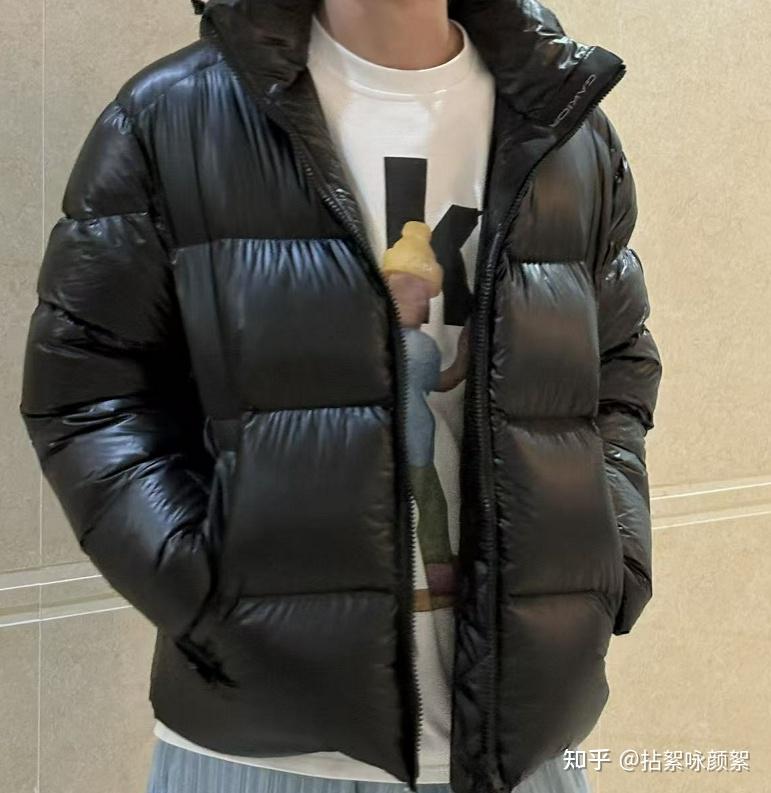 2025羽绒服推荐：Gakior、鸭鸭、高梵、雅鹿、雪中飞等十大品牌如何选择？真实羽绒服测评分享 - 知乎