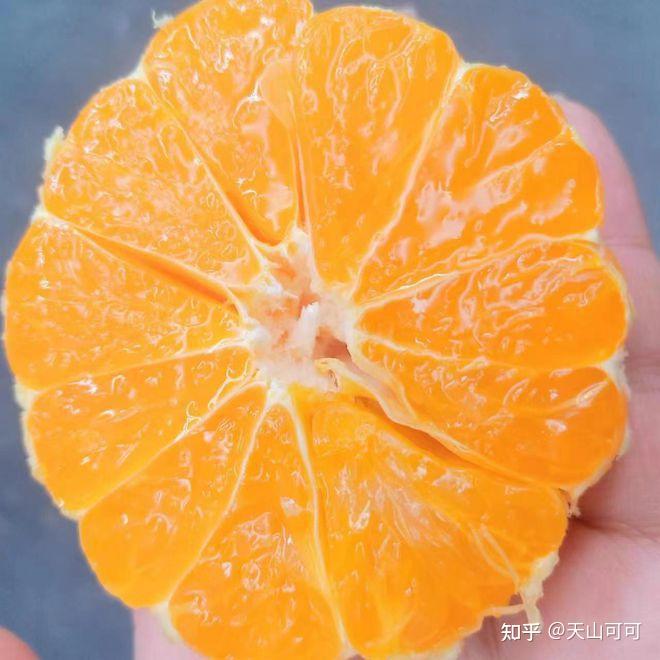 丑柑和粑粑柑的区别是什么? - 知乎