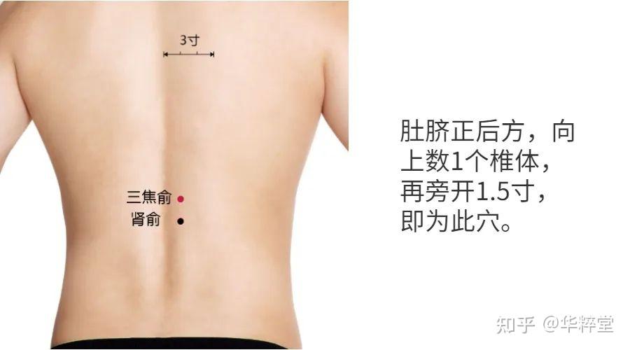 守护好这条经络,远离耳鸣,肥胖和上火 - 知乎