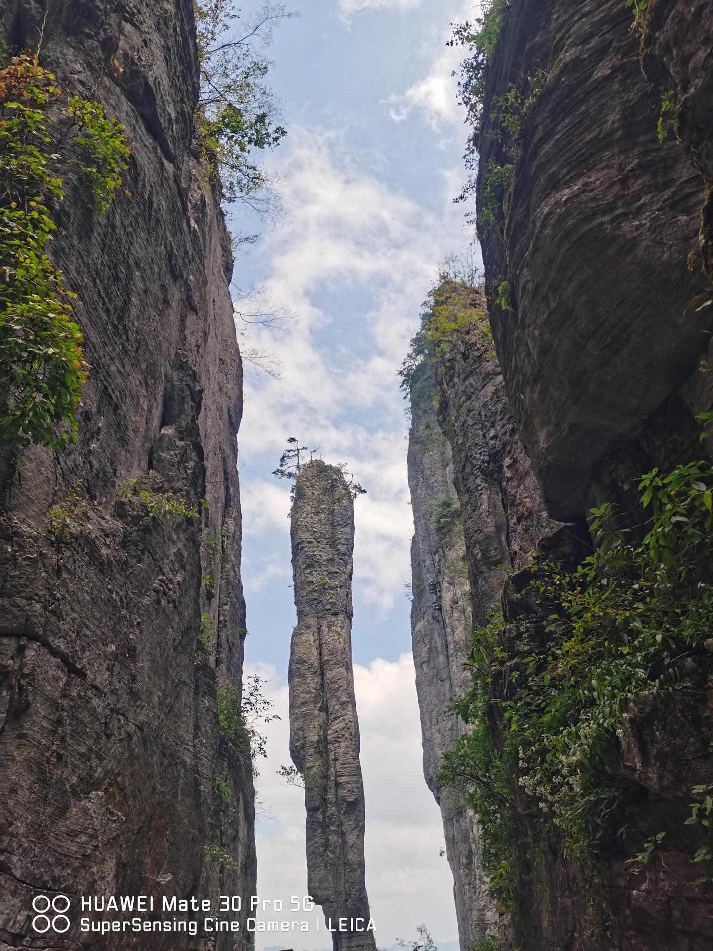 代理、委托代销、居间合同如何签可以规避佣金扣除比例限制| 企业所得税- 知乎