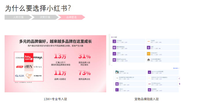 宠物品牌在小红书入驻投放