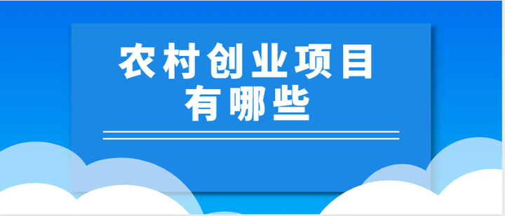 农村创业什么项目好发展(农村创业做什么好?这五个项目潜力大)