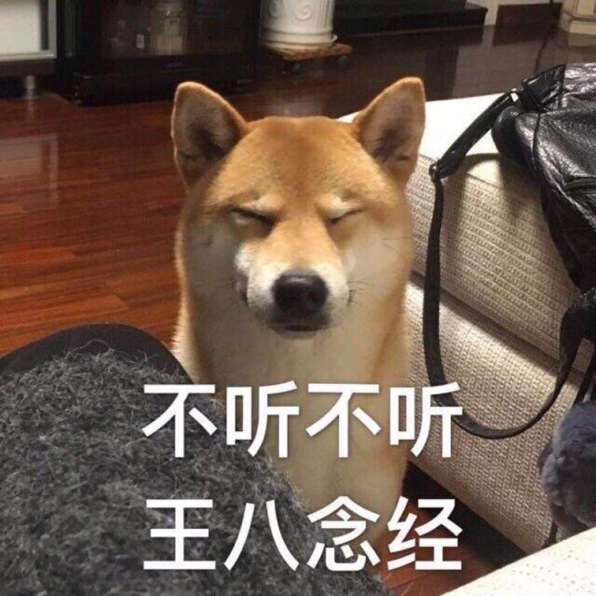 不听不听 说啥都不听 表情包推荐【金馆长表情包】 - 知乎