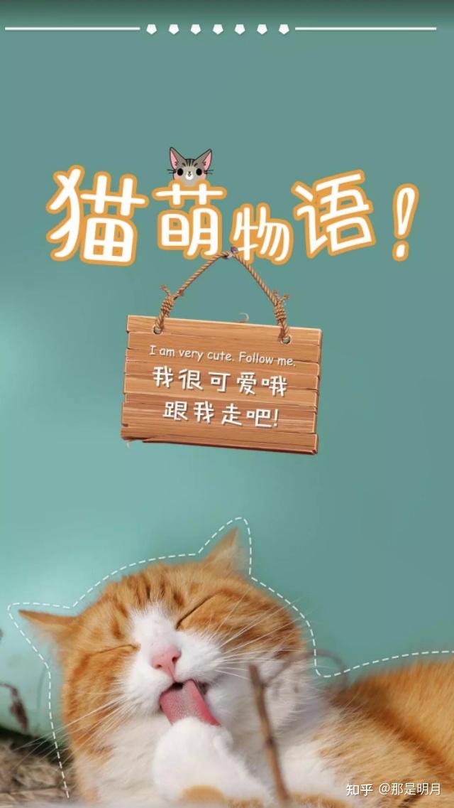 82天天好图82取图处82偶然漫剪取图请点击搜索页第一个黄色带星