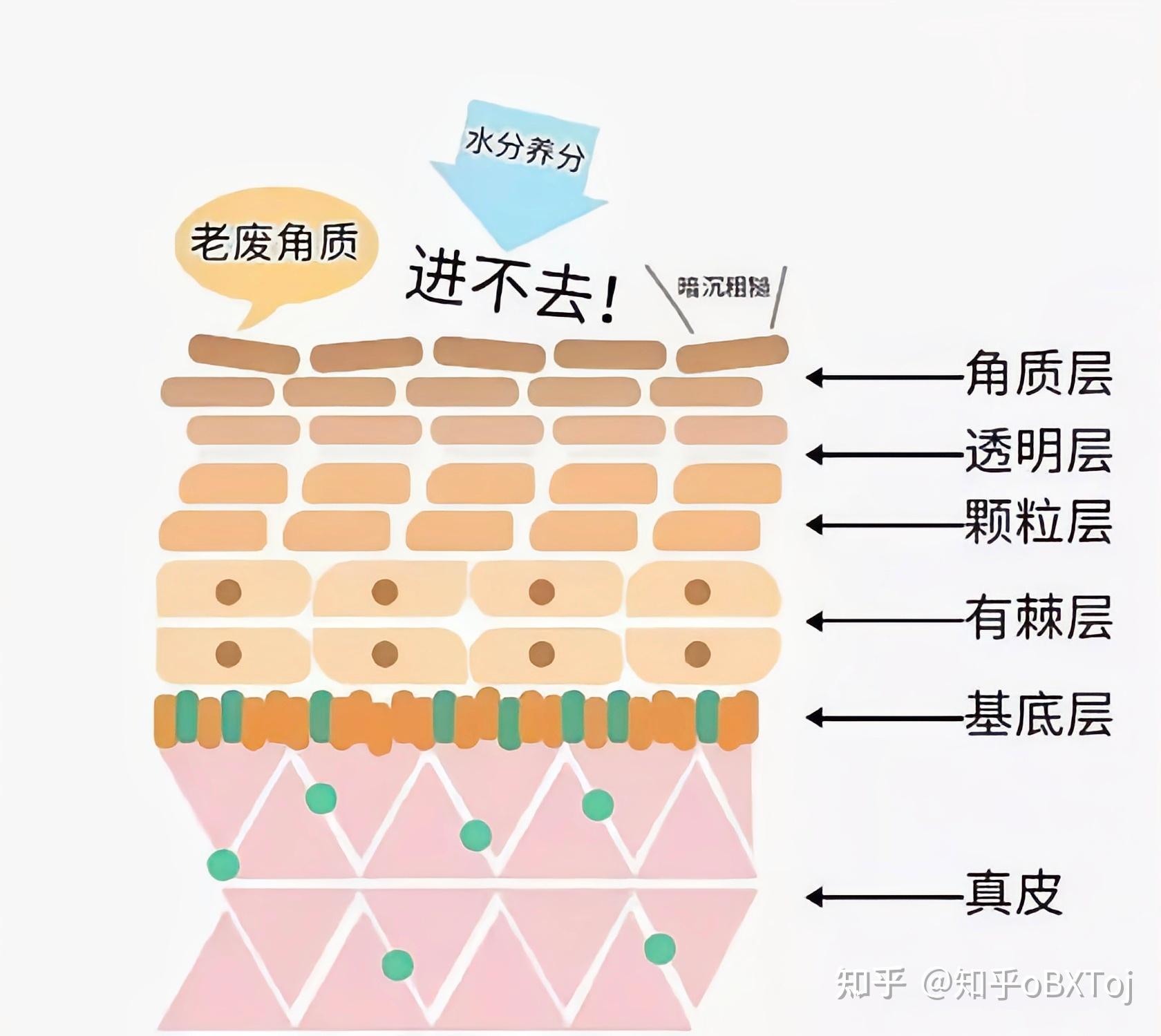 皮肤角质层受损会有什么伤害？ - 知乎