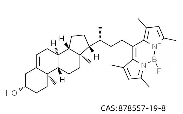 508nm Color BODIPY 480/508-Cholestero的发射波长为508nm - 知乎