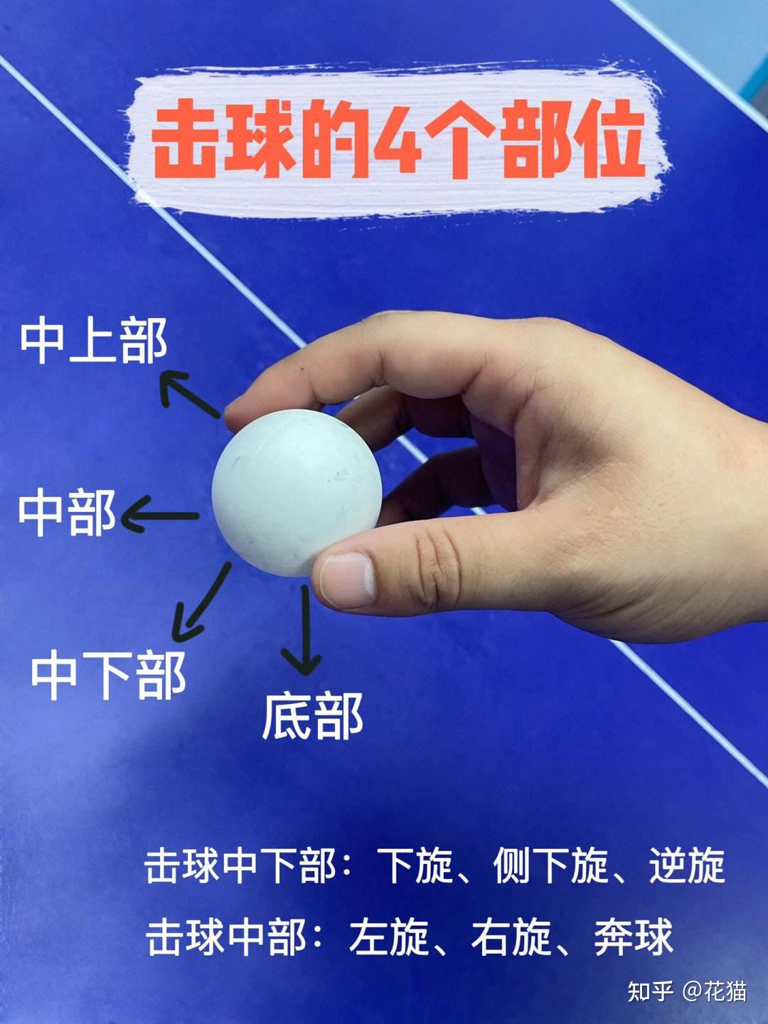 乒乓球中发球如何才能发到球拍的固定范围内
