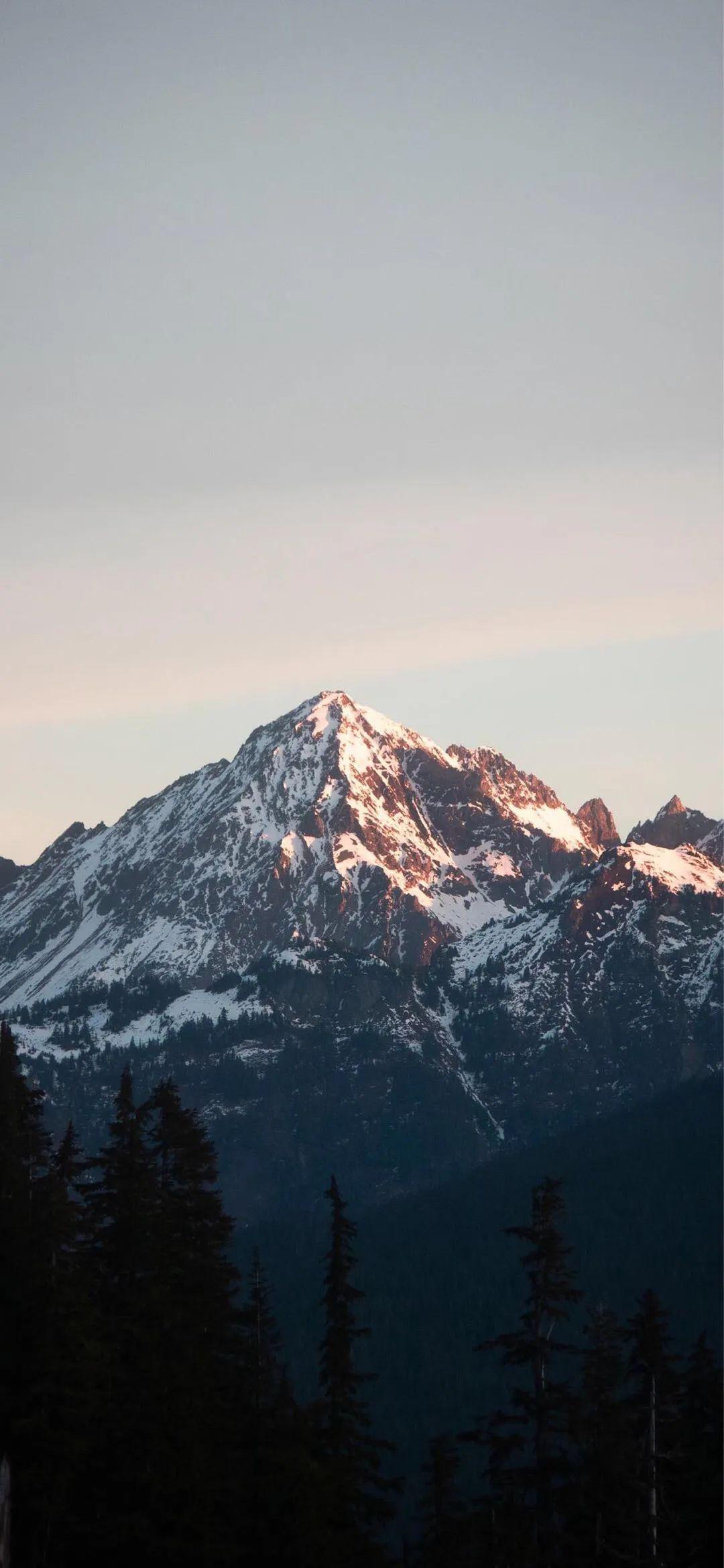 有什么适合全面屏手机用的高逼格壁纸?