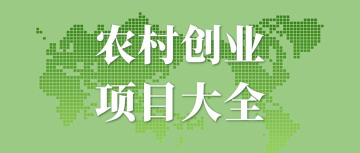 农村新型项目商机是什么(2020农村新项目新商机)