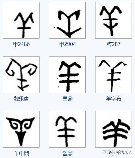 羊字的演变过程 顺序图片