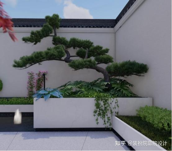 装扮院庭院设计丨适合种在家门口的宝藏植物 - 知乎