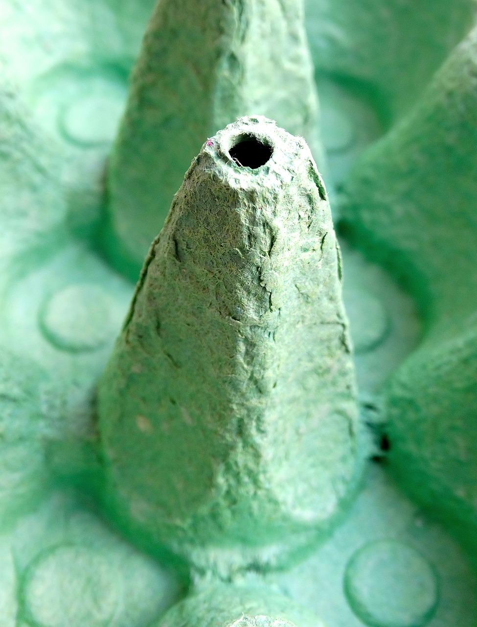 3. 米价行情分析