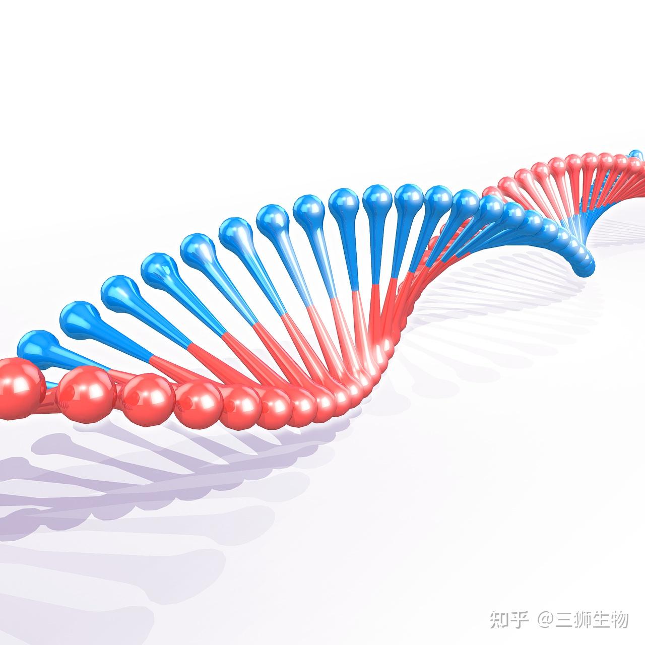 PCR实验小问题④——引物设计 - 知乎