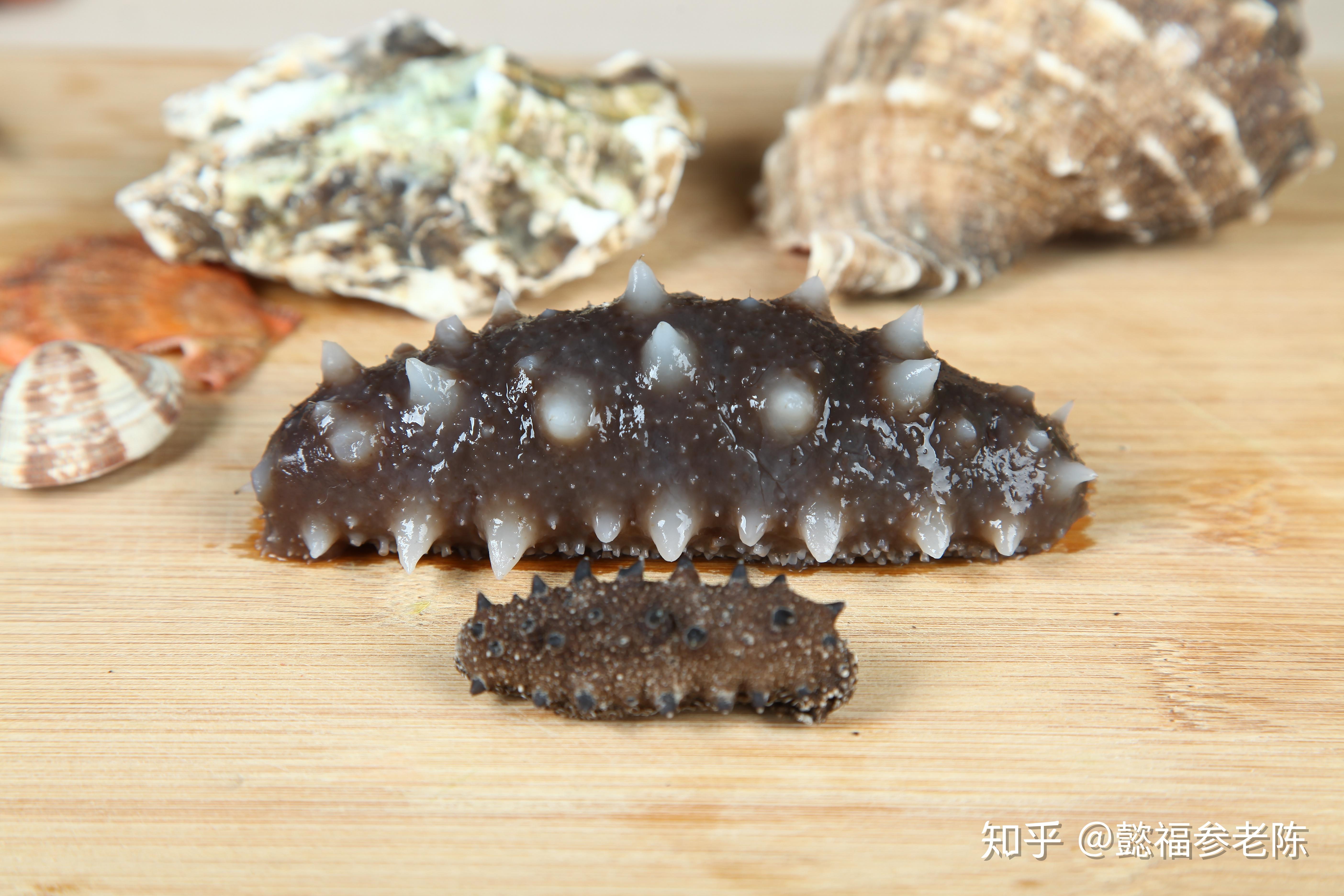 海参价格相差大,消费者应该如何购买?