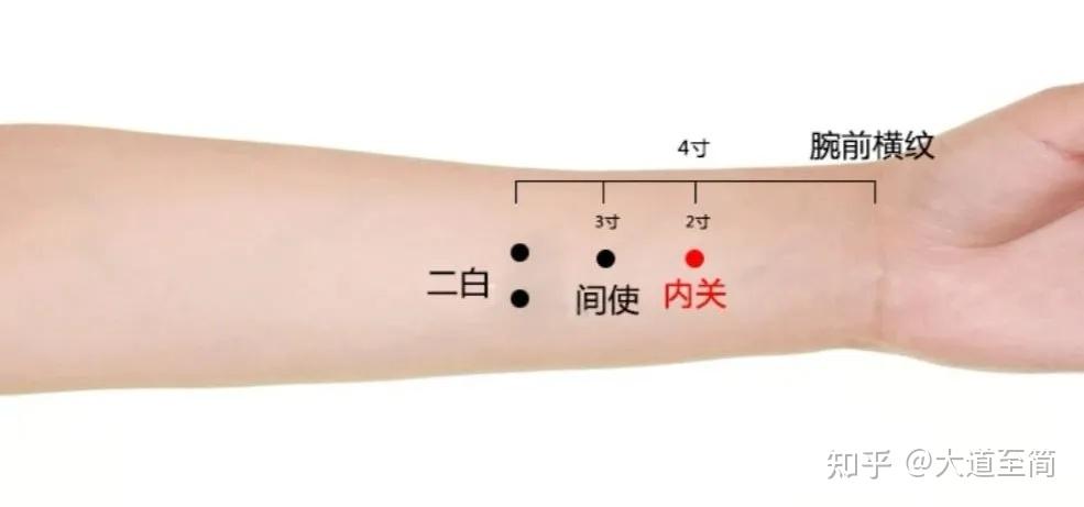 内关穴在哪里?准确位置图及作用操作法 - 知乎