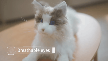 喵~ 大象机器人再添新宠：陪伴宠物米塔﻿猫﻿metaCat超萌上线，硬科技也