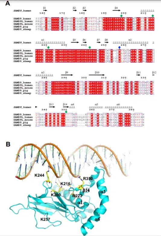 PNAS | 免疫相关基因SAMD9是小儿骨髓增生异常关键，有望成为新药靶 - 知乎