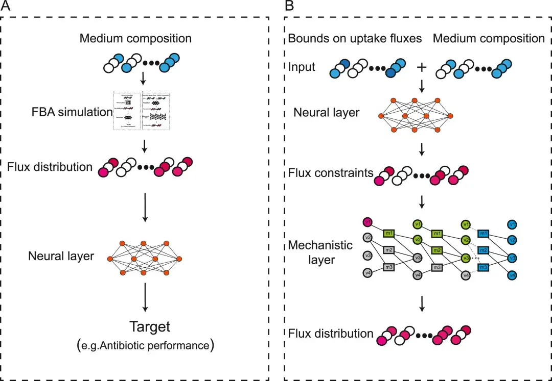欣贝莱生物 | Metab. Eng.：AI驱动的高级代谢模型在细胞工厂设计中的应用 - 知乎