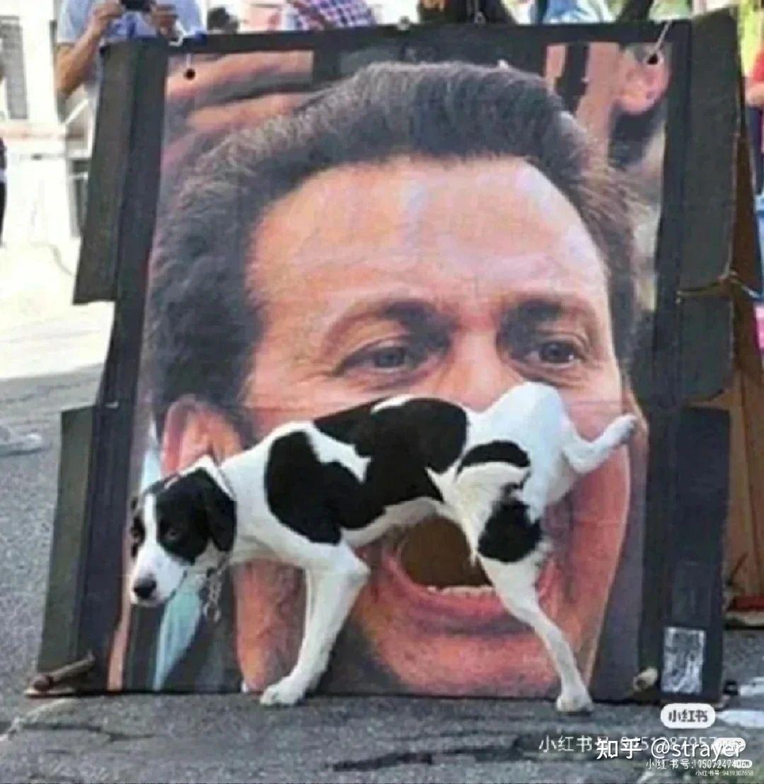 有没有特别搞笑的图片或者幽默段子